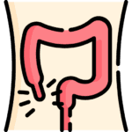 appendix