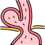 stomach